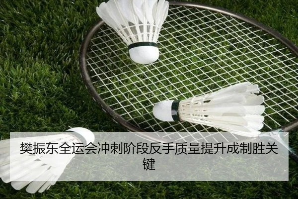 樊振东全运会冲刺阶段反手质量提升成制胜关键